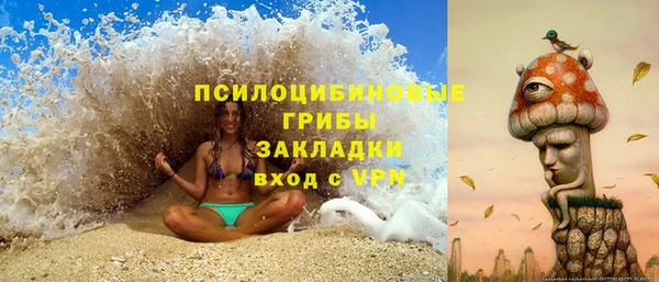 тгк Кодинск