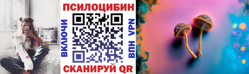 Галлюциногенные грибы Psilocybe  даркнет состав  Томмот 