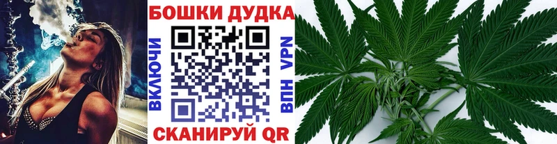 МАРИХУАНА сатива  наркота  Томмот 